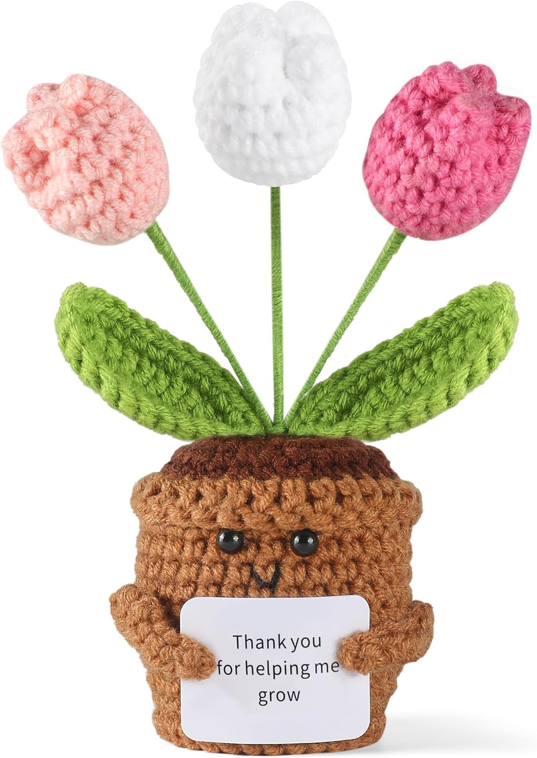 Aeekkya Positive Emotional Support Crochet Lily of the Valley Gift for Teacher, Thank You Gifts, Inspirational Crochet Flowers for Women, Mom, Friend, Christmas, Thanksgiving, End of Year, Desk Decor